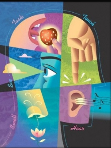 EMPIRISMO SIGLO XVI-XVII