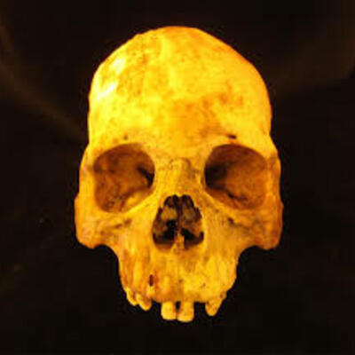 Timeline: CRONOLOGIA PREHISTÒRIA