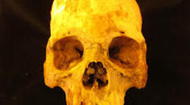 Timeline: CRONOLOGIA PREHISTÒRIA