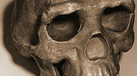 Timeline: Cronologia de la prehistòria