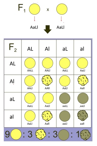 Publicación de la ley mendel