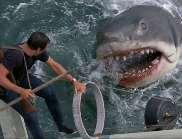 Jaws