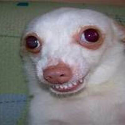 Timeline: Pequeña prueba