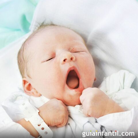 Dia de mi nacimiento