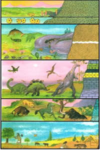 Linea de tiempo eras geológicas Juan Manuel Acosta Castillo.