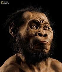 Homo naledi