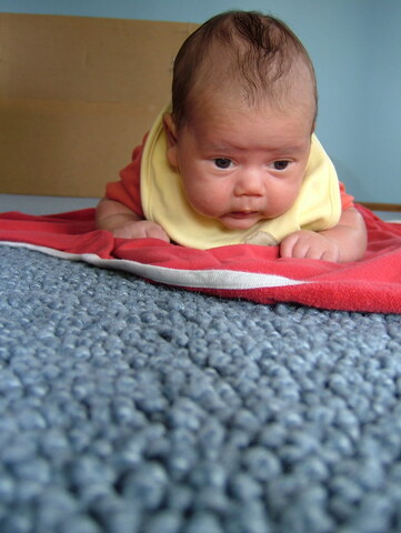 baby lifts their head