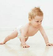 standing up on all fours