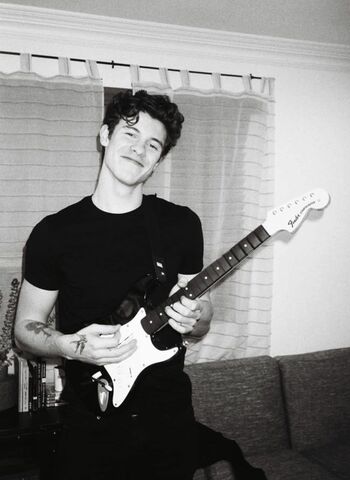 Shawn Mendes cria instituição para ajudar nas causas dos jovens