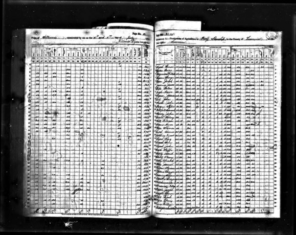 Population Increasing