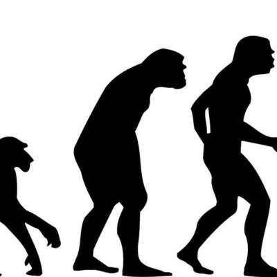 Timeline: Teorias de la evolucion