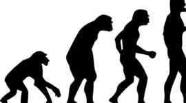 Timeline: Teorias de la evolucion