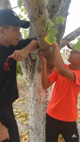 Quebré las ventanas de un vecino