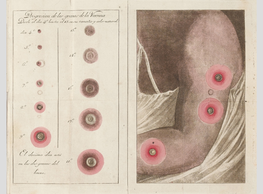 EXPEDICION DE VACUNACION