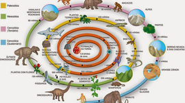 Timeline: El tiempo geológico