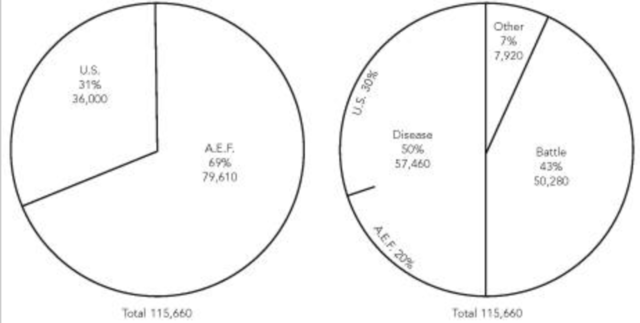 Statistical measurement of the death toll of the American Expeditionary Force and the US