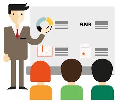 Lineamientos en el Sistema Nacional de Bachillerato