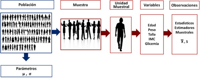 Aplicación de técnicas estadísticas al estudio de problemas biológicos