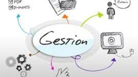 Timeline: PLANICACION Y GESTION