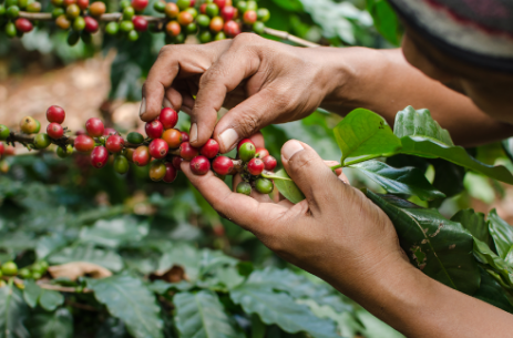 Colombia logró exportaciones con 1.669 nuevos empresarios internacionales