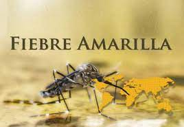 fiebre amarilla