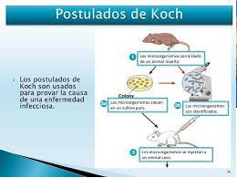 postulados de Koch