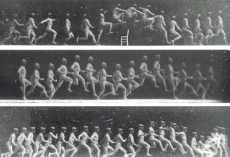 Estudio movimiento humano