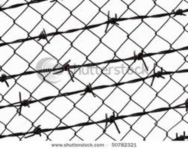 The fencing of Cattle