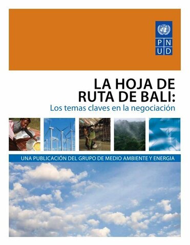La Hoja de ruta de Bali