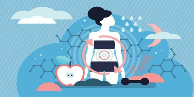 Otros efectos metabólicos