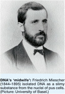 Aislamiento del contenido nuclear