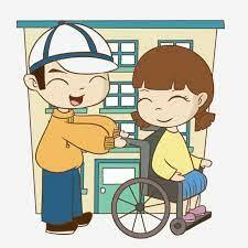 1991 Marco legal disposiciones costitucionales