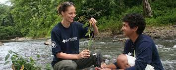 Consejo de Administración (PNUMA)
