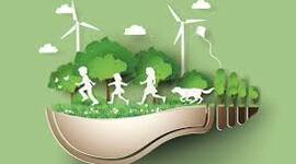 Timeline: Educación Ambiental