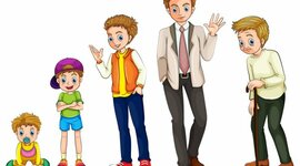 Timeline: Línea de tiempo de la adultez