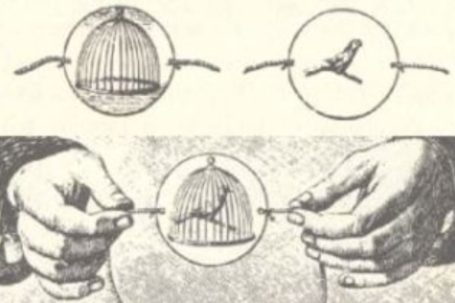 Taumatropo del doctor Pari