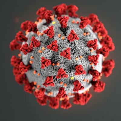 Timeline: Eventos relevantes del Covid-19 en Mexico