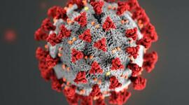 Timeline: Eventos relevantes del Covid-19 en Mexico