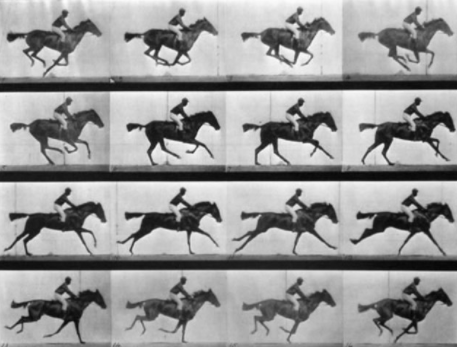 Perfeccionamiento de la fotografía