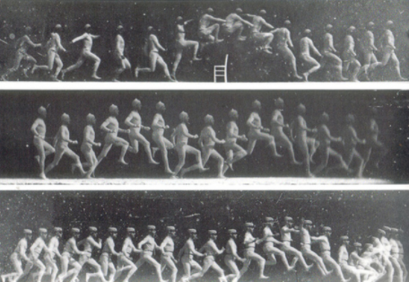 Estudio movimientos humanos