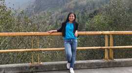 Timeline: Línea de vida