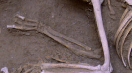 Timeline: CRONOLOGÍA PREHISTÒRIA