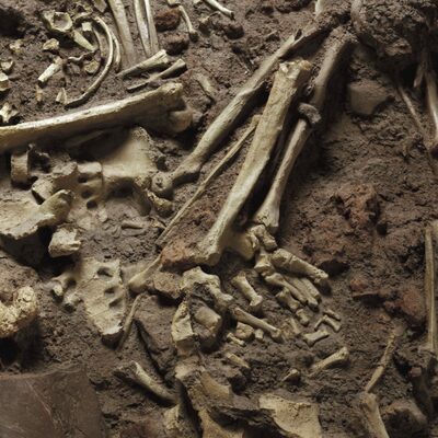 Timeline: CRONOLOGÍA DE LA PREHISTORIA