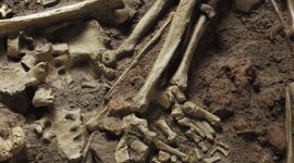 Timeline: CRONOLOGÍA DE LA PREHISTORIA