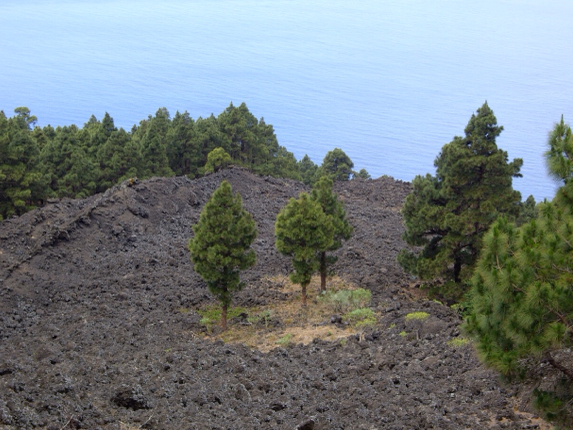 Erupción de El Charco