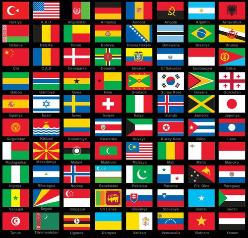 Mixed Country Teamwork