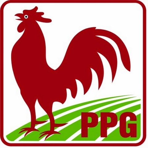 Partido de los Pobres masacra a militares en Guerrero