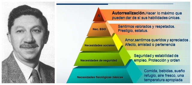 Abraham Maslow ( 1908-1970)