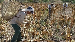 Edad moderna, renacimiento y reforma