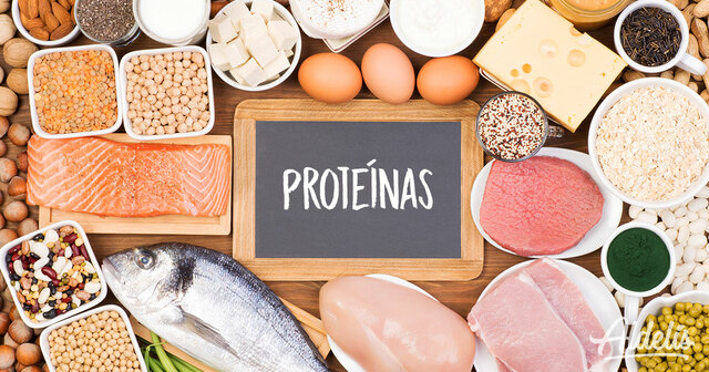 PROTEINAS